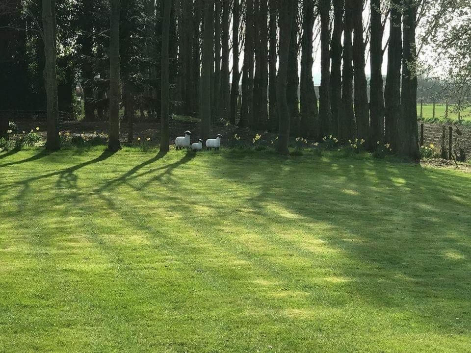 B&B Le Jardin De Grand-Mere Oudenburg Luaran gambar