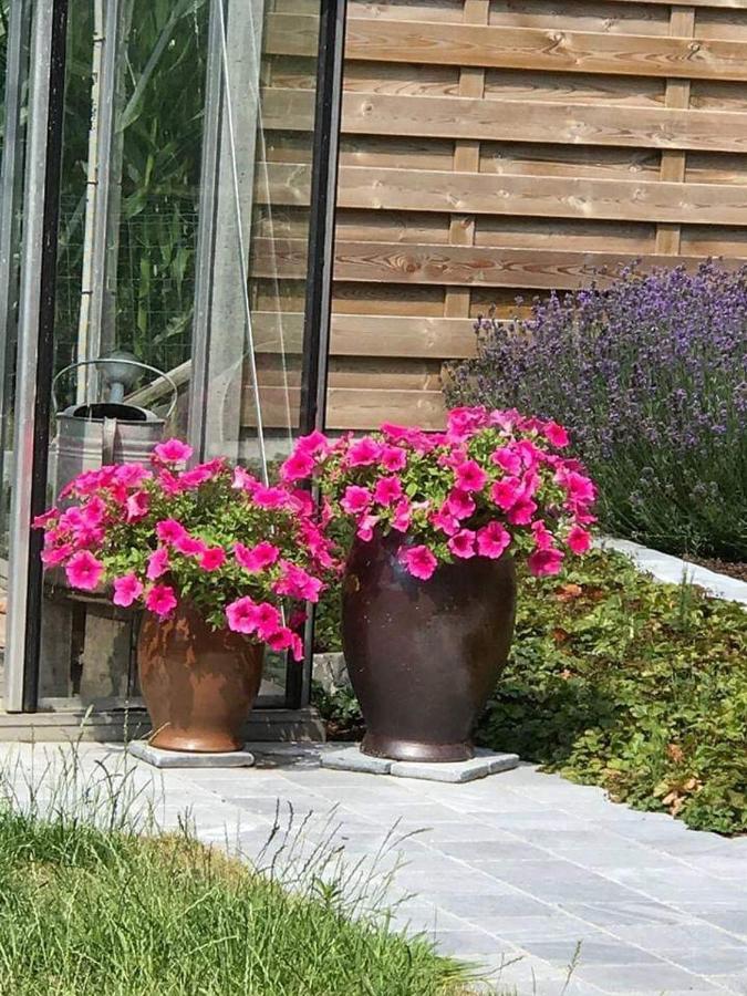 B&B Le Jardin De Grand-Mere Oudenburg Luaran gambar
